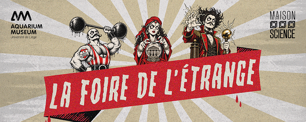 Personnages-Bandeau-1000x400px